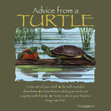 Advice from a Turtle™ T-Shirt